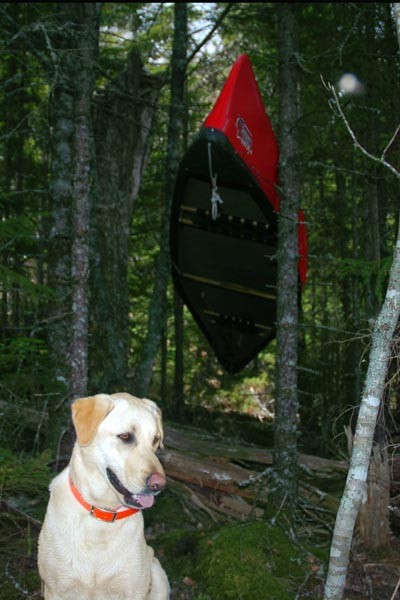 ruby_DSC_6853 - Stuck Canoe.jpg